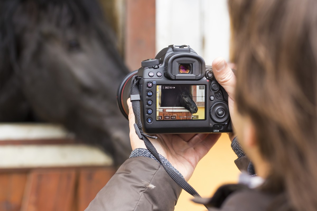 Does your horse business need instagram?