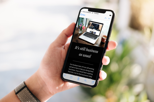 6 Tips for Sending Successful Equestrian Marketing Emails