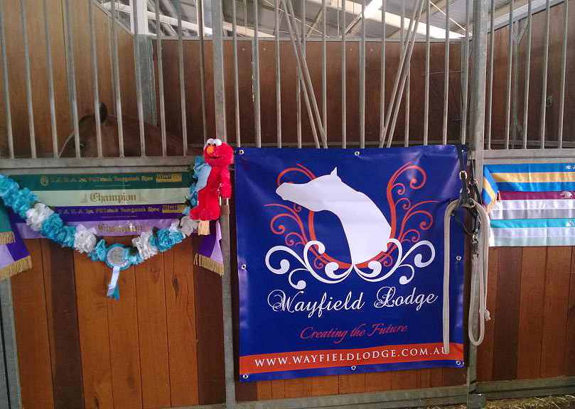 Landmark Special Vinyl Stable Banner - Image 8