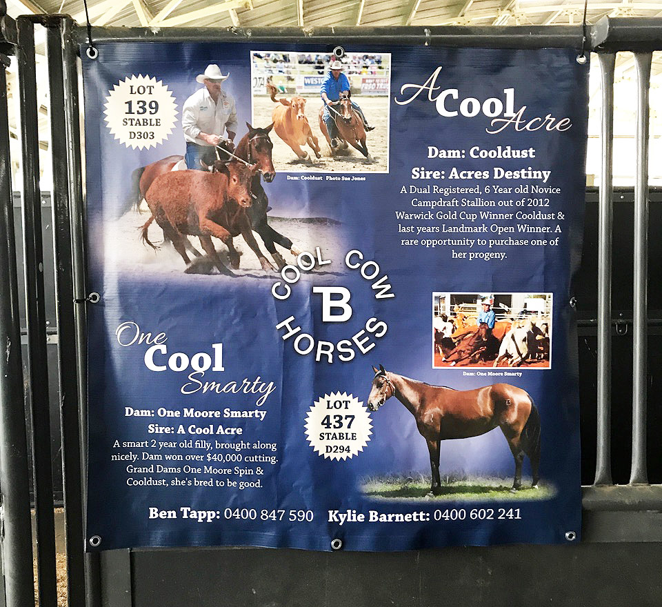 Landmark Special Vinyl Stable Banner - Image 5