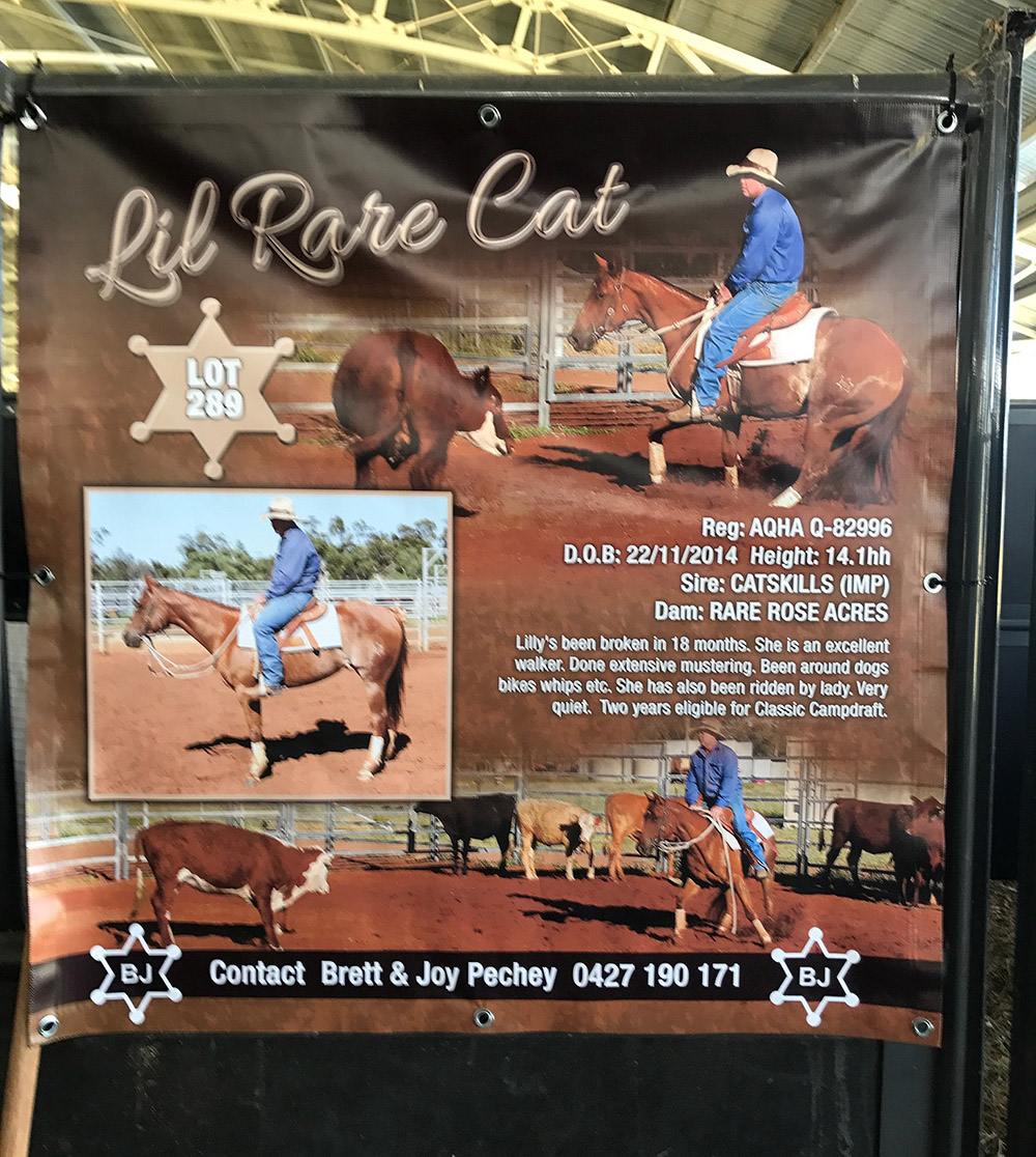Landmark Special Vinyl Stable Banner - Image 7