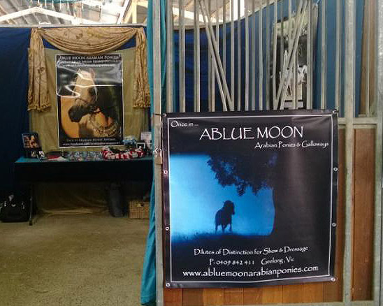 Landmark Special Vinyl Stable Banner - Image 9