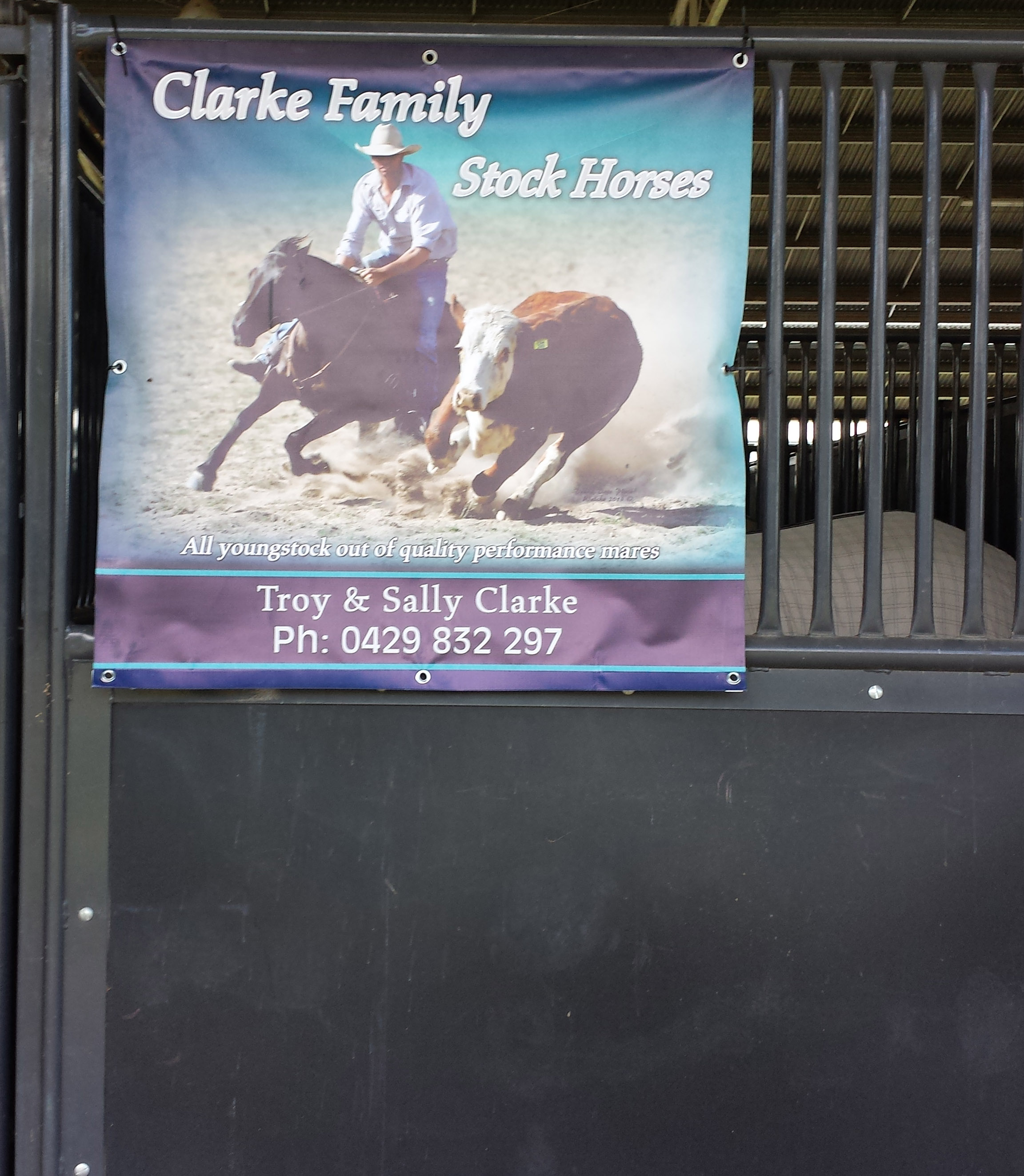 Landmark Special Vinyl Stable Banner - Image 10