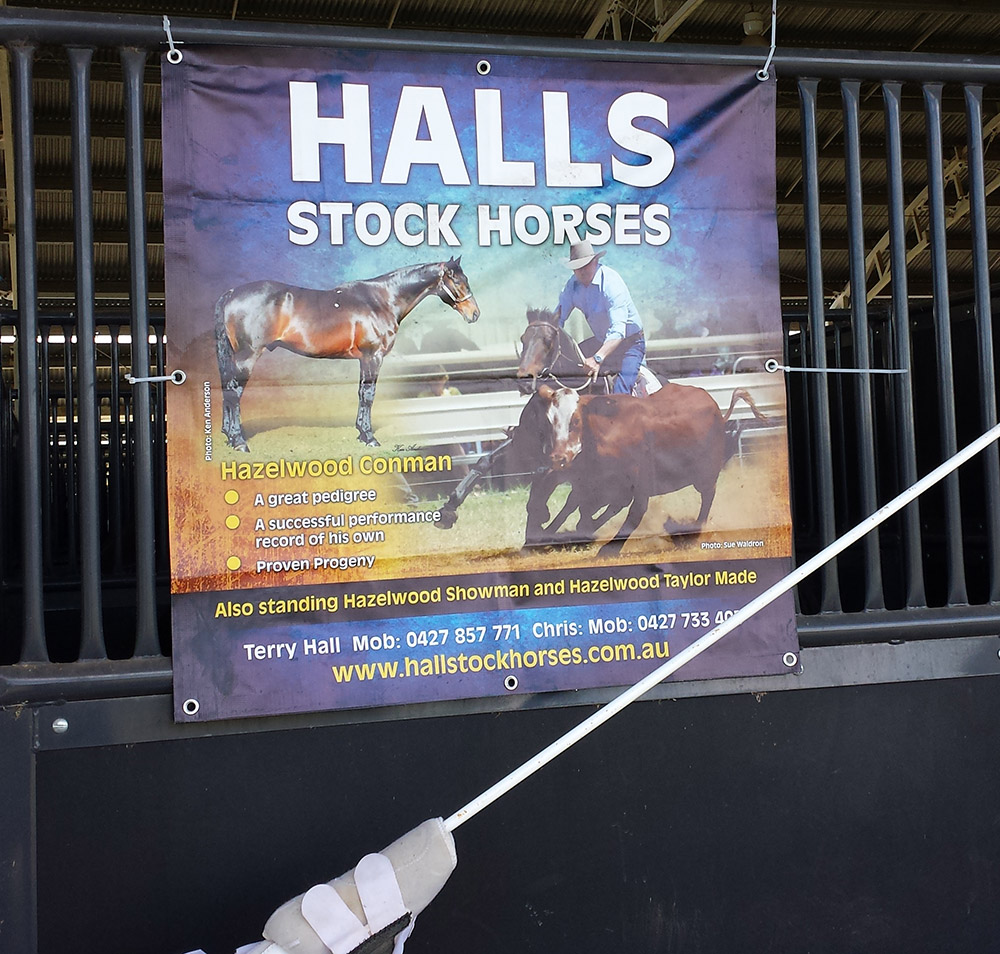 Landmark Special Vinyl Stable Banner - Image 2