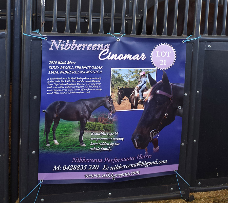 Landmark Special Vinyl Stable Banner - Image 11