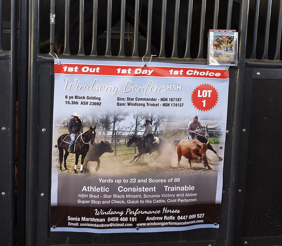 Landmark Special Vinyl Stable Banner - Image 12