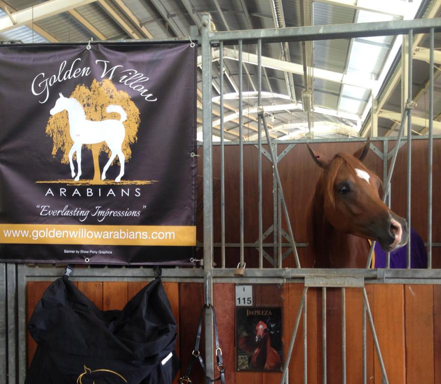 Landmark Special Vinyl Stable Banner - Image 3