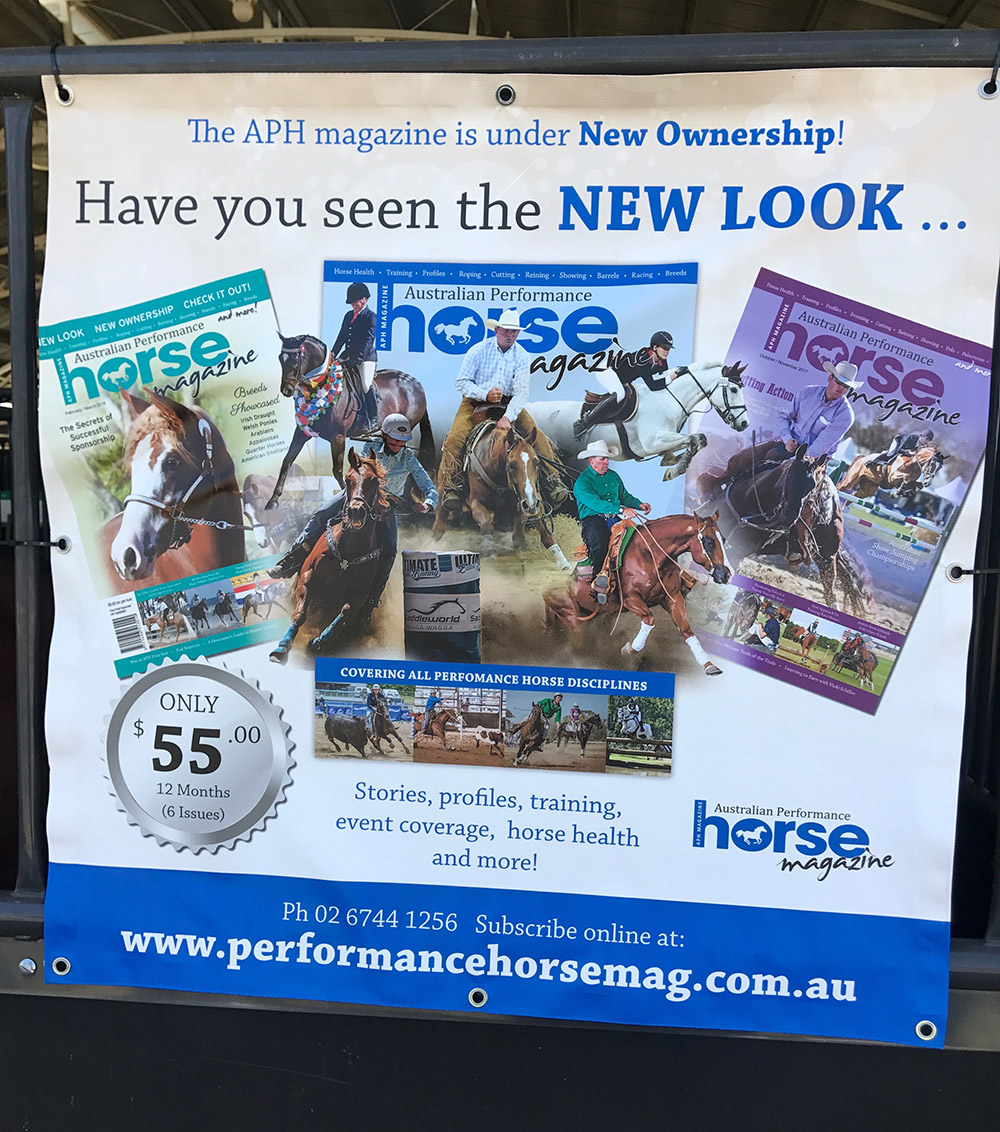 Landmark Special Vinyl Stable Banner - Image 6