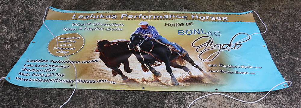 Landmark Special Vinyl Long Banner - Image 4