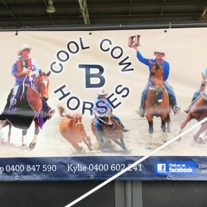 Landmark Special Vinyl Long Banner