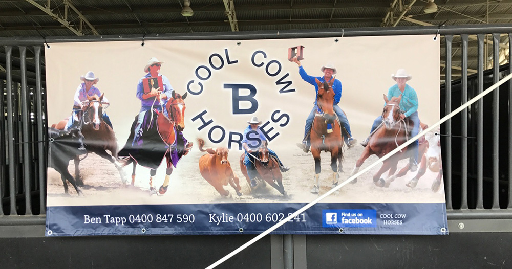 Landmark Special Vinyl Long Banner