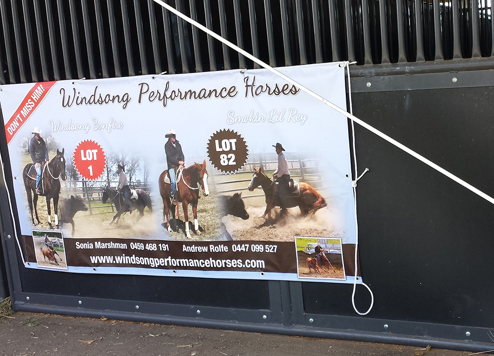 Landmark Special Vinyl Long Banner - Image 2