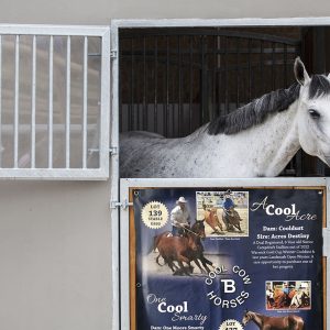 Landmark Special Vinyl Stable Banner