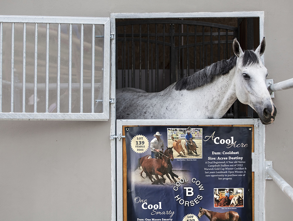 Landmark Special Vinyl Stable Banner