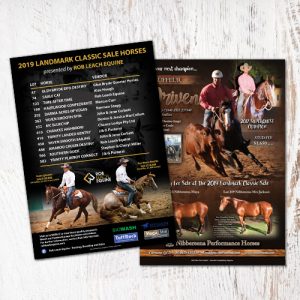 Landmark Special Flyers / Posters