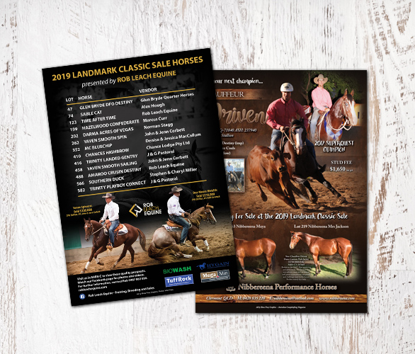 Landmark Special Flyers / Posters