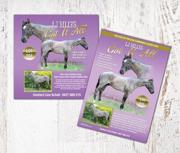 Landmark Special Promo Pack - Image 2