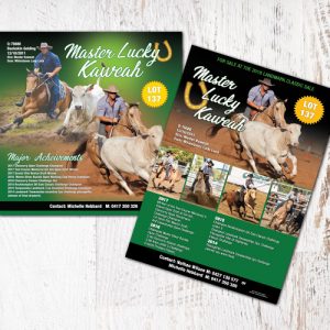 Landmark Special Promo Pack