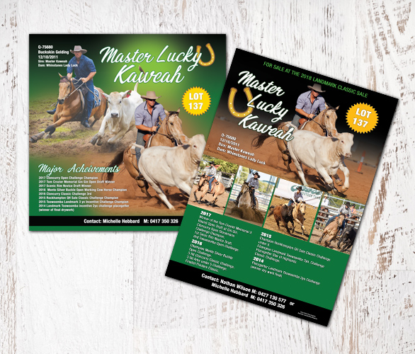 Landmark Special Promo Pack