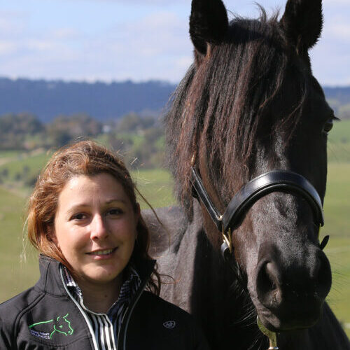 Despina Mitrakas Founder of Show Pony Creative