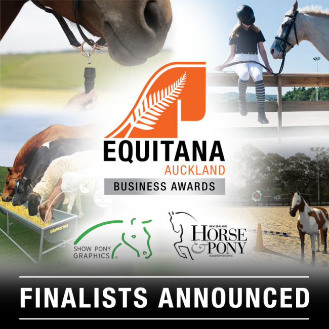 finalists-tile EQUITANA Auckland Business Awards