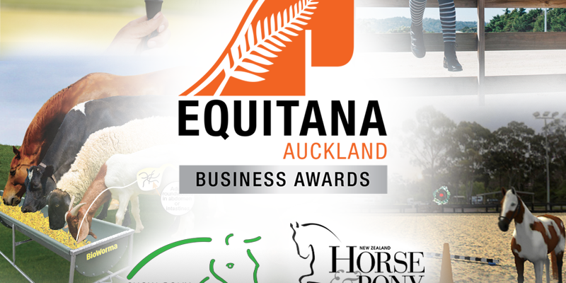 finalists-tile EQUITANA Auckland Business Awards