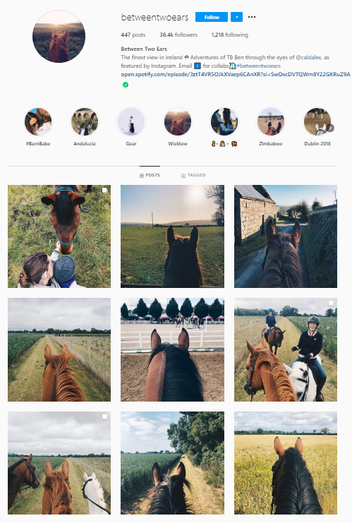Get your instagram content right for your horse business
