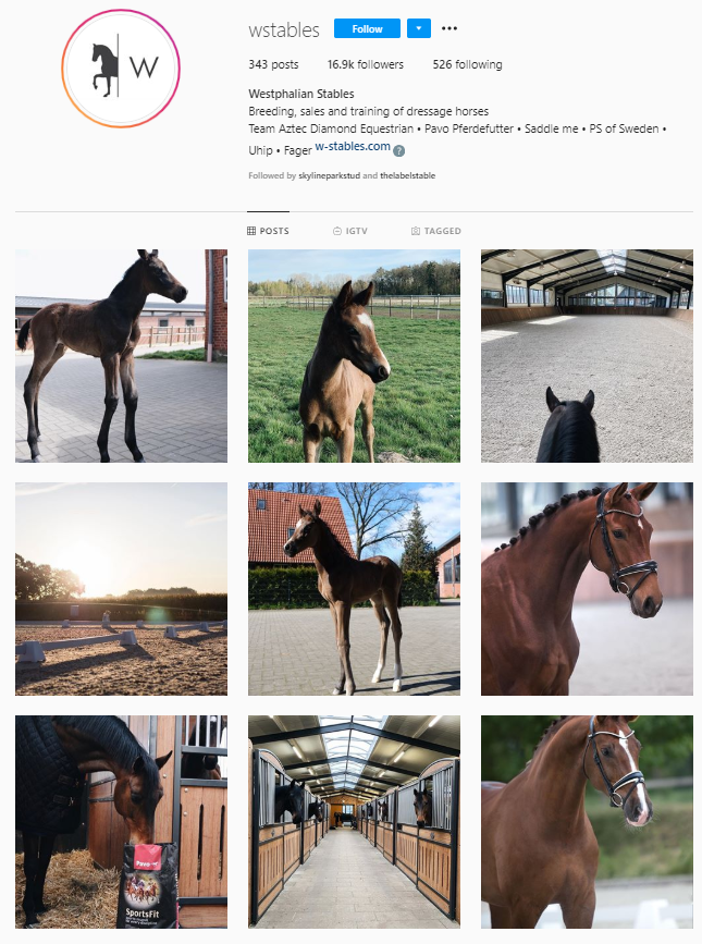 The benefits of being on Instagram