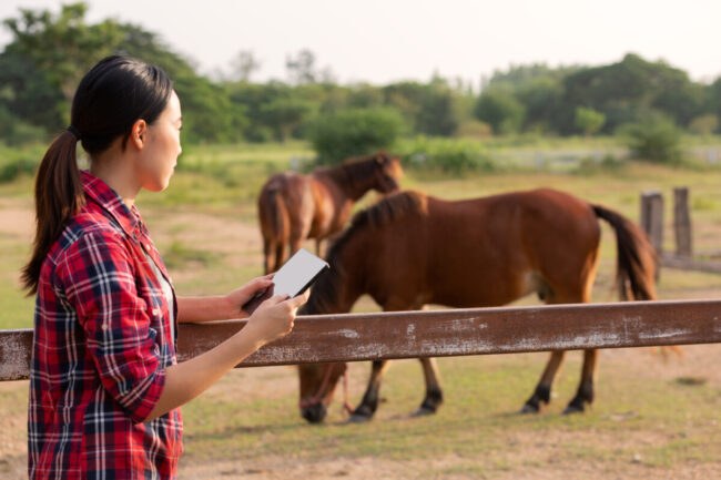 The importance of equestrian advertising starts with getting digital! Take your Equestrian Advertising to the next level