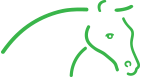 Show Pony Creative