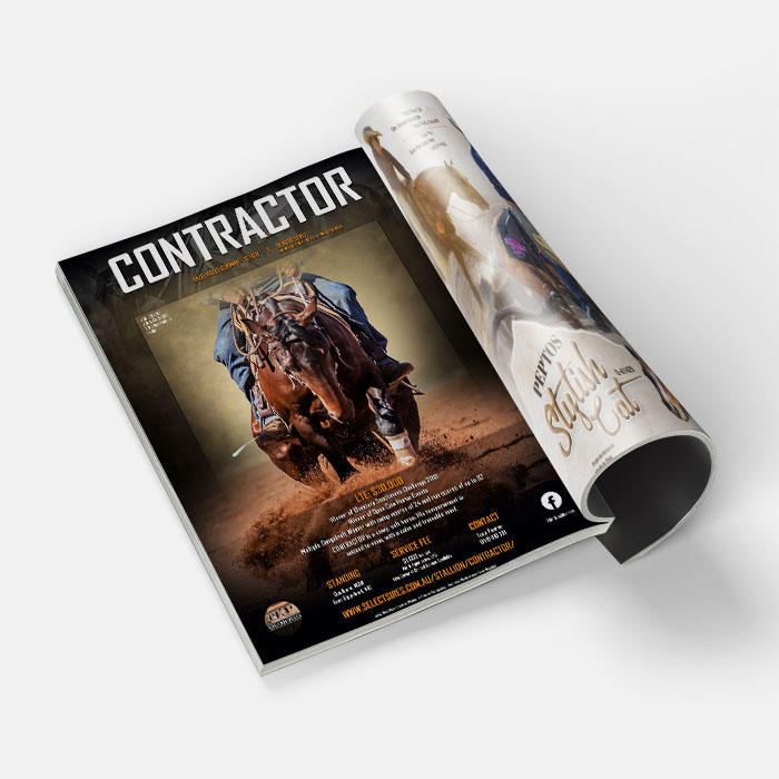 Equine Advertisement design