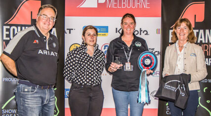 Vet / Feed Innovation Runner Up Beeswax Blue Balls submitted by Bare Equine