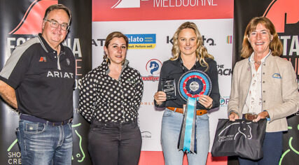 Horse Innovation Runner Up Winner Hairy Pony