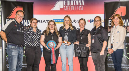 People's Choice Display Winner Hairy Pony